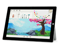 康马Surface 无法开启、Windows 无法启动或电池无法充电